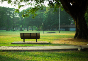 Viharamahadevi Park